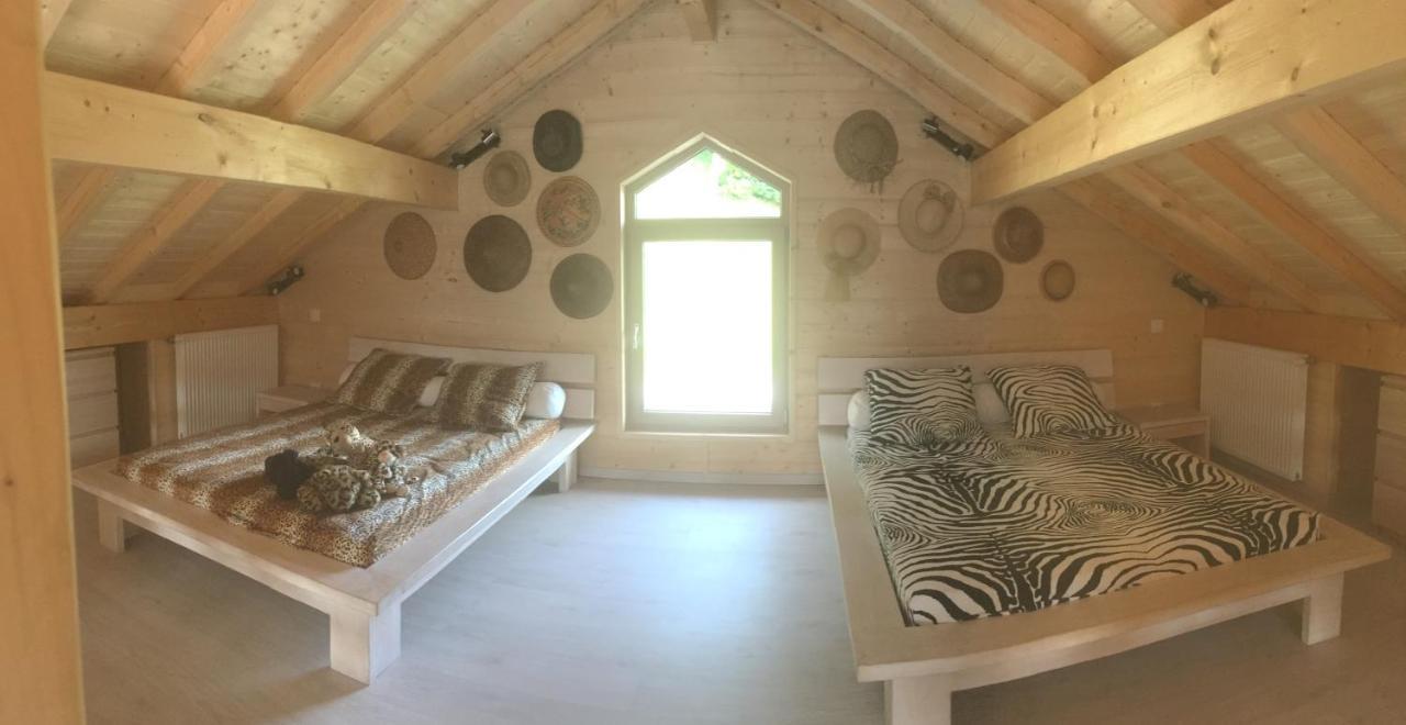 Chalet A La Campagne Coise-Saint-Jean-Pied-Gauthier Ngoại thất bức ảnh